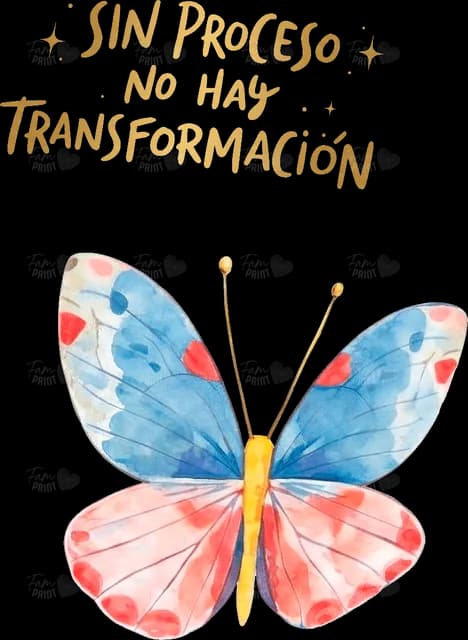 Sin proceso no hay transformación